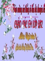 Bài 13. Đề văn thuyết minh và cách làm bài văn thuyết minh