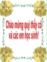 Bài 29. Luyện tập đưa các yếu tố tự sự và miêu tả vào bài văn nghị luận