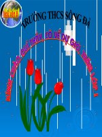 Bài 15. Vào nhà ngục Quảng Đông cảm tác