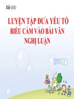 Bài 29. Luyện tập đưa các yếu tố tự sự và miêu tả vào bài văn nghị luận