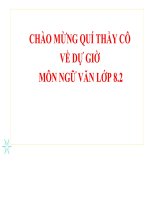 Bài 5. Từ ngữ địa phương và biệt ngữ xã hội