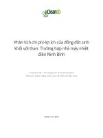Phân tích chi phí-lợi ích của đồng đốt sinh khối với than: Trường hợp nhà máy nhiệt điện Ninh Bình