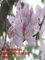 Bài 10. Bài thơ về tiểu đội xe không kính