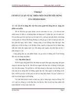 Tiểu Luận Nghiên Cứu Sự Thỏa Mãn Của Người Tiêu Dùng Mì Hảo Hảo