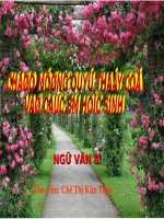 Bài 26. Luyện tập lập luận giải thích