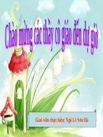 Bài 10. Nói giảm nói tránh