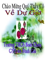 Bài 10. Ôn tập truyện kí Việt Nam