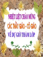 Bài 23. Cách làm bài nghị luận về tác phẩm truyện (hoặc đoạn trích)
