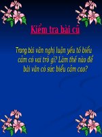 Bài 27. Luyện tập đưa yếu tố biểu cảm vào bài văn nghị luận