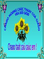 Bài 22. Câu phủ định