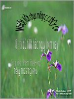 Bài 1. Sử dụng một số biện pháp nghệ thuật trong văn bản thuyết minh