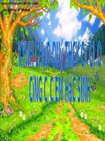 Bài 20. Ôn tập về văn bản thuyết minh