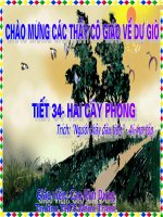 Bài 9. Hai cây phong