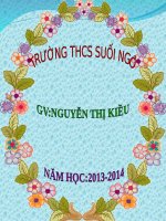 Bài 19. Quê hương