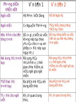 Bài 31. Văn bản tường trình