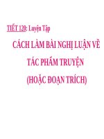 Bài 23. Luyện tập làm bài nghị luận về tác phẩm truyện (hoặc đoạn trích)