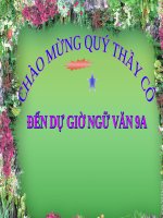 Bài 16. Cố hương