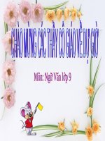 Bài 23. Luyện tập làm bài nghị luận về tác phẩm truyện (hoặc đoạn trích)