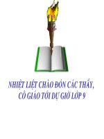 Bài 10. Tổng kết về từ vựng (Sự phát triển của từ vựng,... trau dồi vốn từ)