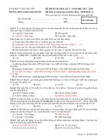 ĐỀ KIỂM TRA HỌC KỲ I NĂM HỌC 2017  2018 MÔN SINH LỚP 12 Mã đề 004