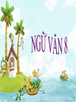 Bài 21. Ngắm trăng (Vọng nguyệt)