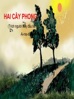 Bài 9. Hai cây phong