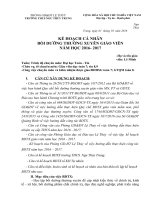 BỒI  DƯỠNG THƯỜNG XUYÊN GIÁO VIÊN năm học 2016  2017 họ và tên giáo viên lê minh tuấn 