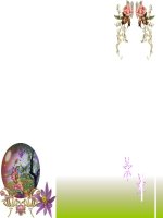 Bài 9. Tổng kết về từ vựng (Từ đơn, từ phức,... từ nhiều nghĩa; Từ đồng âm,... trường từ vựng)