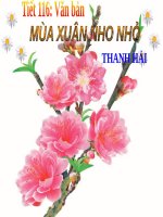 Bài 23. Mùa xuân nho nhỏ