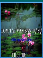 Bài 5. Tóm tắt văn bản tự sự