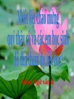 Bài 21. Câu trần thuật