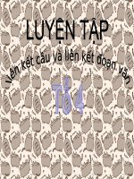 Bài 22. Liên kết câu và liên kết đoạn văn (Luyện tập)