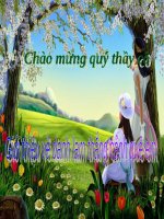 Bài 2. Các phương châm hội thoại (tiếp theo)