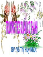 Bài 16. Kiểm tra tổng hợp cuối Học kì I