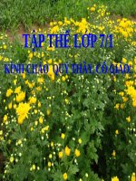 Bài 26. Cách làm bài văn lập luận giải thích