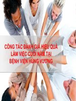 Tiểu Luận Công Tác Đánh Giá Hiệu Quả Làm Việc Cuối Năm Tại Bệnh Viện Hùng Vương