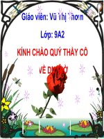 Bài 9. Tổng kết về từ vựng (Từ đơn, từ phức,... từ nhiều nghĩa; Từ đồng âm,... trường từ vựng)