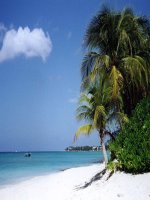 Bài 20. Nghị luận về một vấn đề tư tưởng, đạo lí