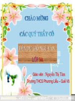 Bài 22. Liên kết câu và liên kết đoạn văn (Luyện tập)