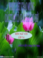 Bài 24. Luyện tập viết đoạn văn chứng minh