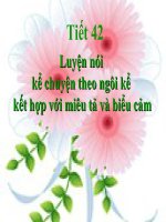 Bài 10. Luyện nói: Kể chuyện theo ngôi kể kết hợp với miêu tả và biểu cảm