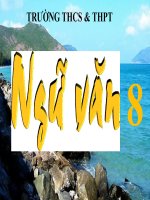 Bài 15. Đập đá ở Côn Lôn