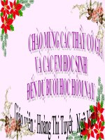 Bài 29. Lựa chọn trật tự từ trong câu (luyện tập)