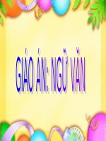 Bài 4. Luyện tập tóm tắt văn bản tự sự