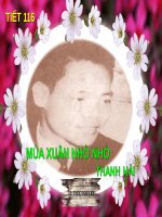 Bài 23. Mùa xuân nho nhỏ