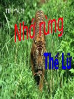 Bài 18. Nhớ rừng