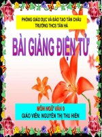 Bài 9. Tổng kết về từ vựng (Từ đơn, từ phức,... từ nhiều nghĩa; Từ đồng âm,... trường từ vựng)