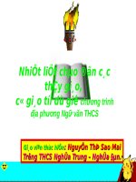 Bài 34. Chương trình địa phương (phần Tiếng Việt). Rèn luyện chính tả