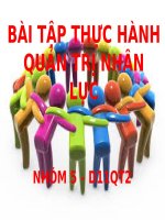Bài Tập Thực Hành Quản Trị Nhân Lực Công Ty Trần Anh