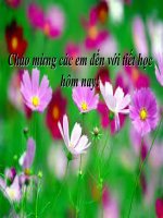 Bài 25. Dùng cụm chủ - vị để mở rộng câu